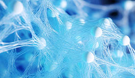 珠海椿田科技股份有限公司