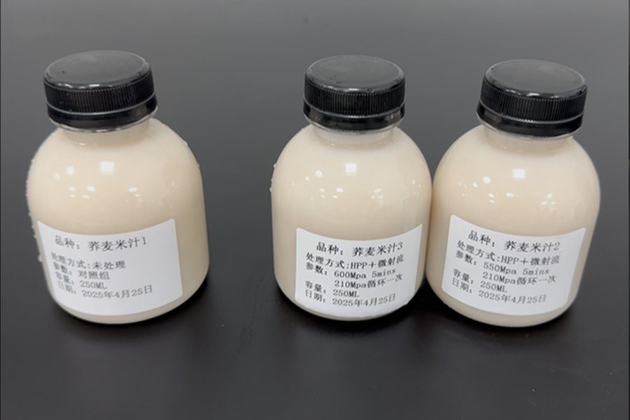 荞麦米浆实验结果